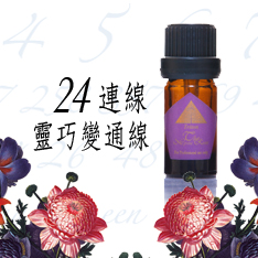 24連線生命靈數精油